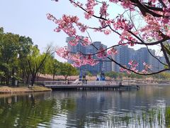 -新江湾城公园
