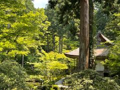 -三千院