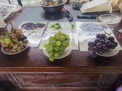 -马陆小张葡萄园农家乐