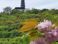 -苏州上方山国家森林公园
