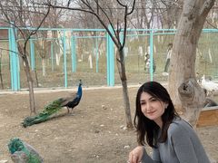 -水上乐园·欢乐世界