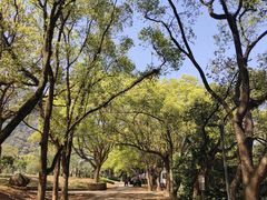-福清灵石山国家森林公园