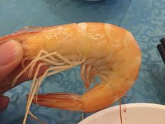 -御唐府海珊瑚主题餐厅