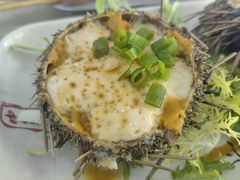 -都氏烤海肠•海肠捞饭•胶东渔家菜(葡萄滩北山路店)