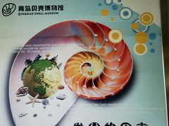-青岛贝壳博物馆