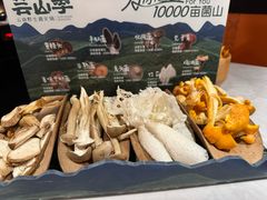 -芸山季·云南山珍菌火锅(人民广场来福士店)