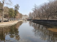 -白水寺森林公园