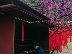 -西安青龙寺遗址景区