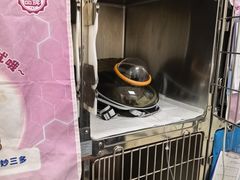 -美联众合动物医院·24h京西诊疗中心