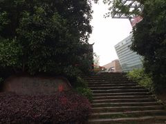 -活水公园