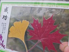 -香山公园-东宫门售票处