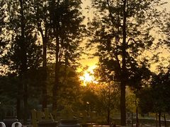 -翠湖宾馆·中餐厅