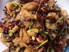 -百味地锅鸡(二店·财校分店)