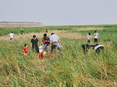 -南汇嘴观海公园