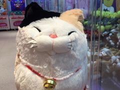 -LLJ夹机占(正佳广场店)