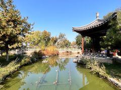 -三里河公园