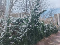 -大连市妇女儿童医疗中心(希望广场儿童院区)