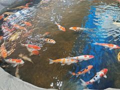 -鸿通城购物中心