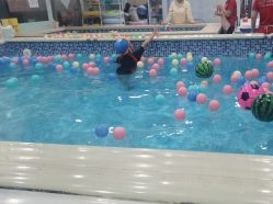 -子木乐园婴儿游泳馆(水晶港店)