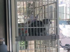 -情忆草原涮肉馆