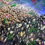 千家粗粮王自助界的扛把子升级黑标店‼️