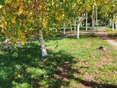 -长春公园(普阳街道)