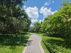 -福田红树林生态公园