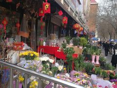 -宝鸡东道花鸟鱼虫市场(吉利花园商场店)
