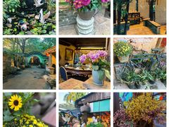 -园林美食城·本土农家菜(杨和镇店)