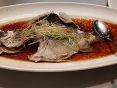 清蒸桂鱼-上海精菜馆(虎踞关店)