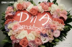 -DNA Wedding 婚礼记(上海店)