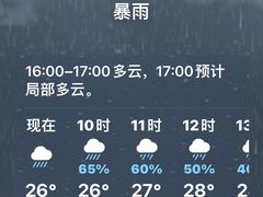 -圣淘沙天际线斜坡滑车