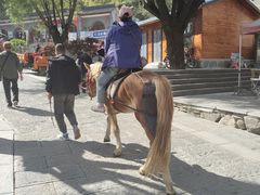 -雁门关景区