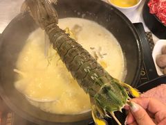 -鲜入围煮花胶鸡海鲜火锅