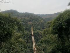 -川西竹海景区