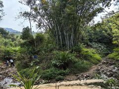 -田心森林公园