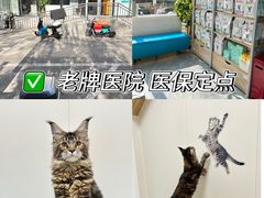-美联众合爱康动物医院•复杂内科•肿瘤科•牙科•腔镜诊疗中心