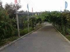 -武汉世外桃源农庄