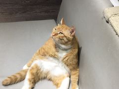 -小时光咖啡馆(开森度假森林店)