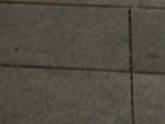 -凤凰路何眼镜香辣蟹(花果园店)