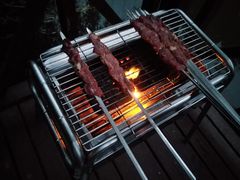 -崇明东平国家森林公园烧烤房车露营地