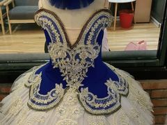 -北京红舞鞋少儿形体舞蹈教育(高新融侨城校区)