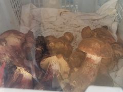 -菌之家·专业纯野生菌火锅·特色炒菌