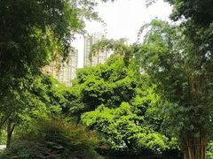 -成都市活水公园