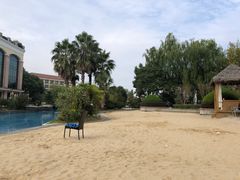 -上海东方佘山翰悦阁酒店·Vie全日制餐厅