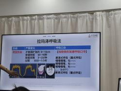 -子午孕教·孕妇瑜伽产后恢复(市北店)