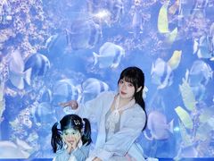-南昌融创海世界