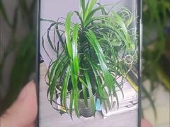 -华为手机笔记本电脑维修中心(徐汇店)