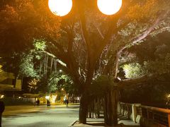 -均和墟历史街区-平和大押