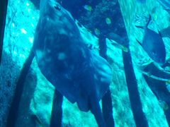 -波塞冬旅游度假区